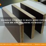WHY PHENOLIC PLYWOOD IS MUCH MORE EXPENSIVE THAN MR AND MELAMINE PLYWOOD OF SAME THICKNESS?