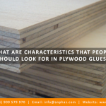 WHAT ARE CHARACTERISTICS THAT PEOPLE SHOULD LOOK FOR IN PLYWOOD GLUES?