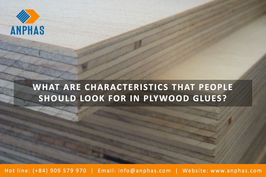 what-are-characteristics-that-people-should-look-for-in-plywood-glues