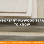 IMPORTANT PLYWOOD TERMS TO KNOW