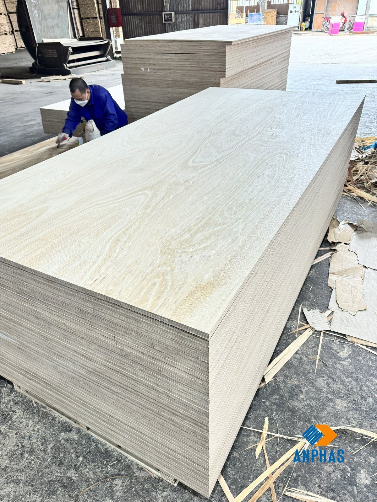 FULL EUCALYPTUS PLYWOOD
