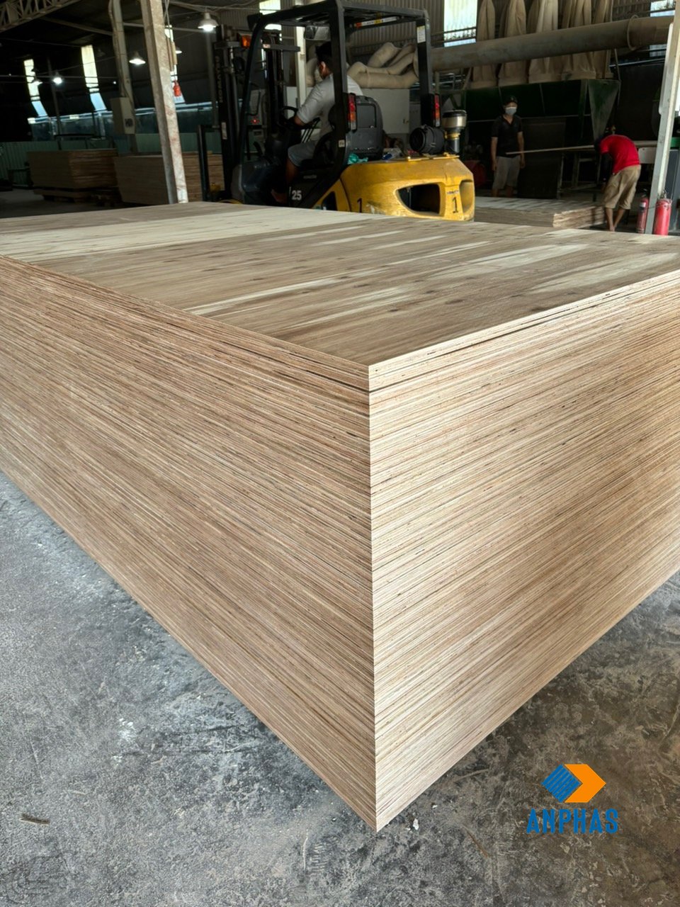 PACKAGING PLYWOOD